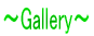〜Gallery〜